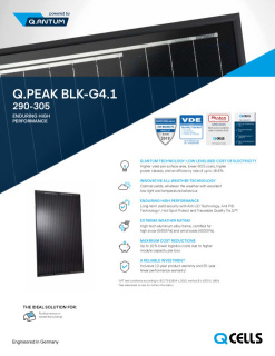 Q_CELLS_Data_sheet_Q.PEAK_BLK-G4.1_290-305_2019-03_Rev02_NA.pdf