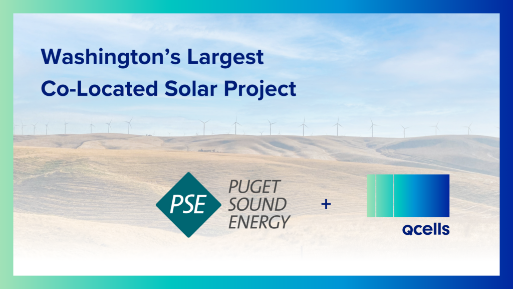 Announcing Appaloosa Solar Sale from Qcells to Puget Sound Energy