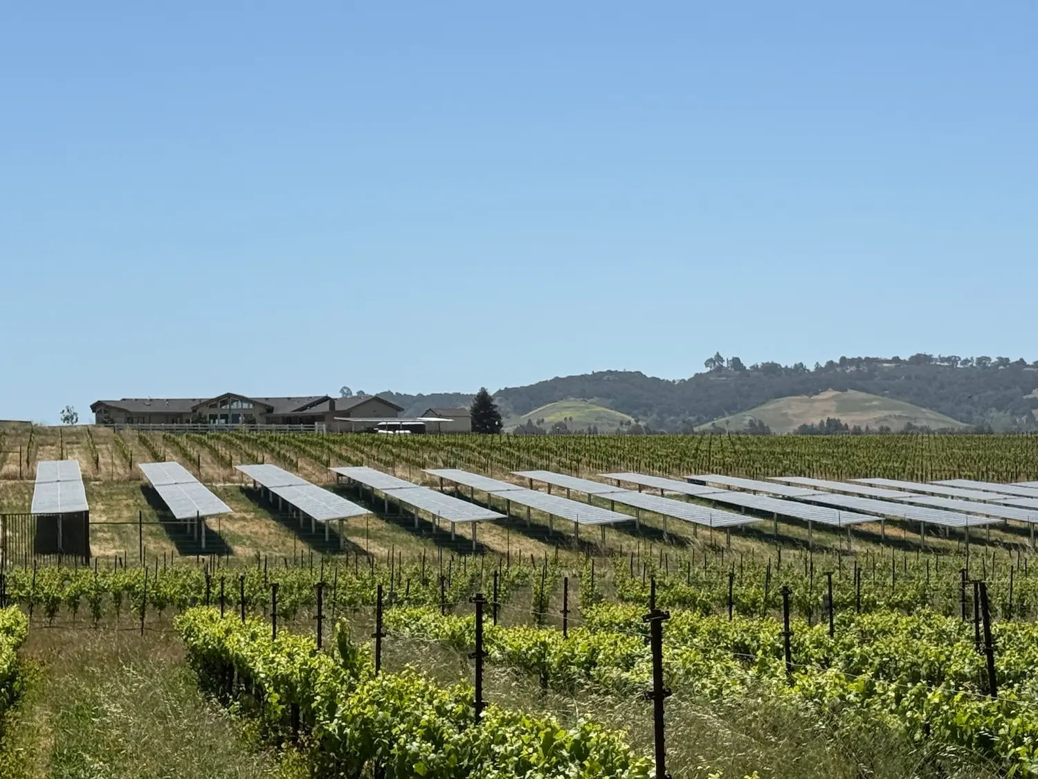 Tolosa Winery CCI Project